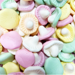 Champignons fruités