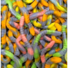 Serpents de Dulceplus Serpents de Dulceplus