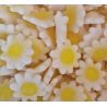 Marguerites Marguerites