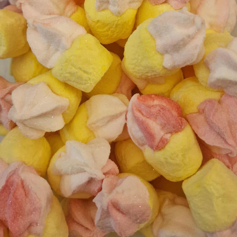 Lot 5 Cupcakes Marsmallow