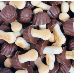 Champignons chocolat