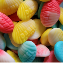 Palourde en mousse DAMEL